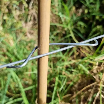 Wire Stake Clips – Simple, Sturdy, and Great for Espaliering