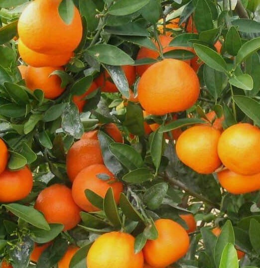 ?!label-Indicative photo