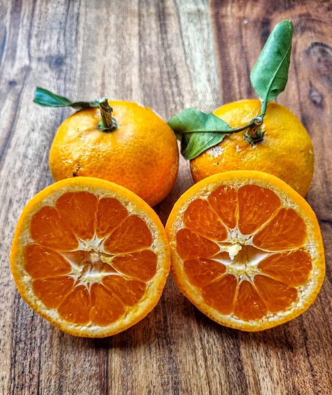 ?!label-Indicative photo