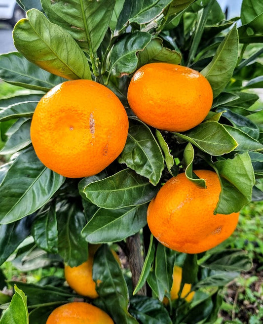 ?!label-Indicative photo