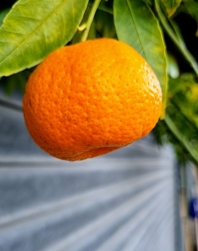 ?!label-Indicative photo