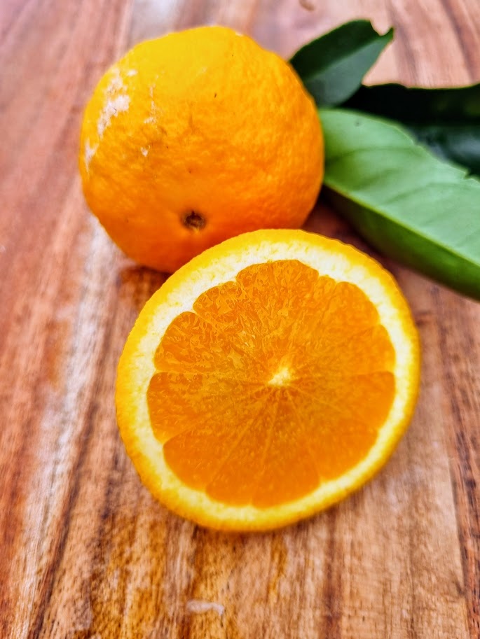 ?!label-Indicative photo