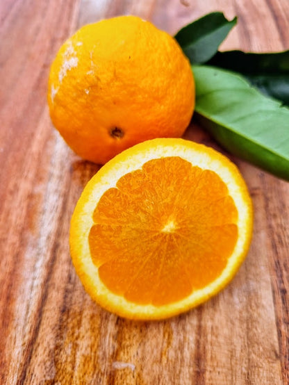 ?!label-Indicative photo