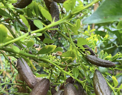 ?!label-Indicative photo