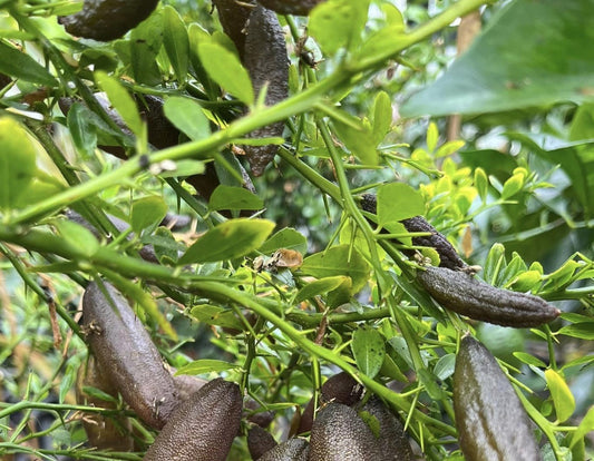 ?!label-Indicative photo