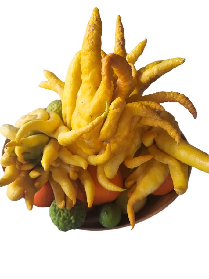 ?!label-Indicative photo