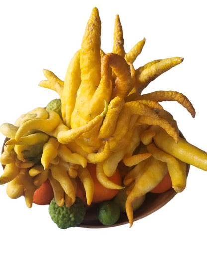 ?!label-Indicative photo