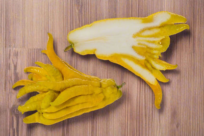 ?!label-Indicative photo