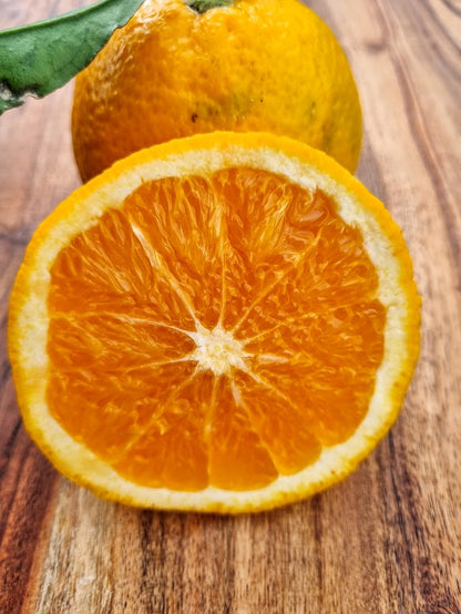 ?!label-Indicative photo