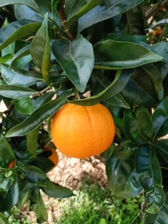 ?!label-Indicative photo