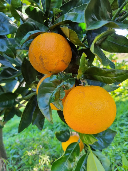 ?!label-Indicative photo