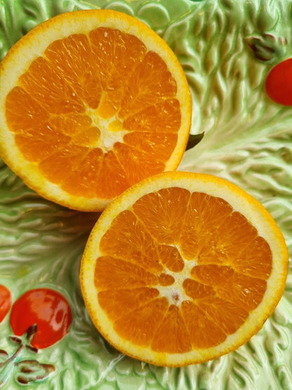 Carters Navel Orange Tree