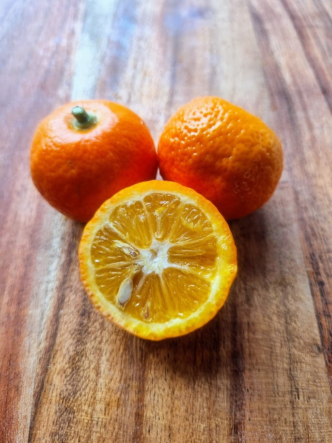 ?!label-Indicative photo