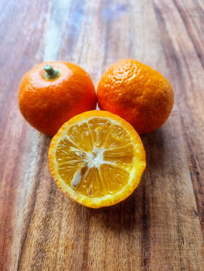 ?!label-Indicative photo