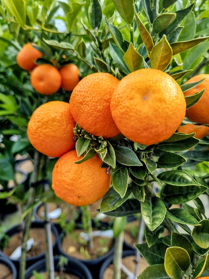 ?!label-Indicative photo