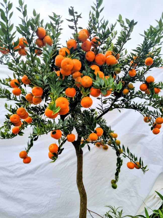 ?!label-Indicative photo