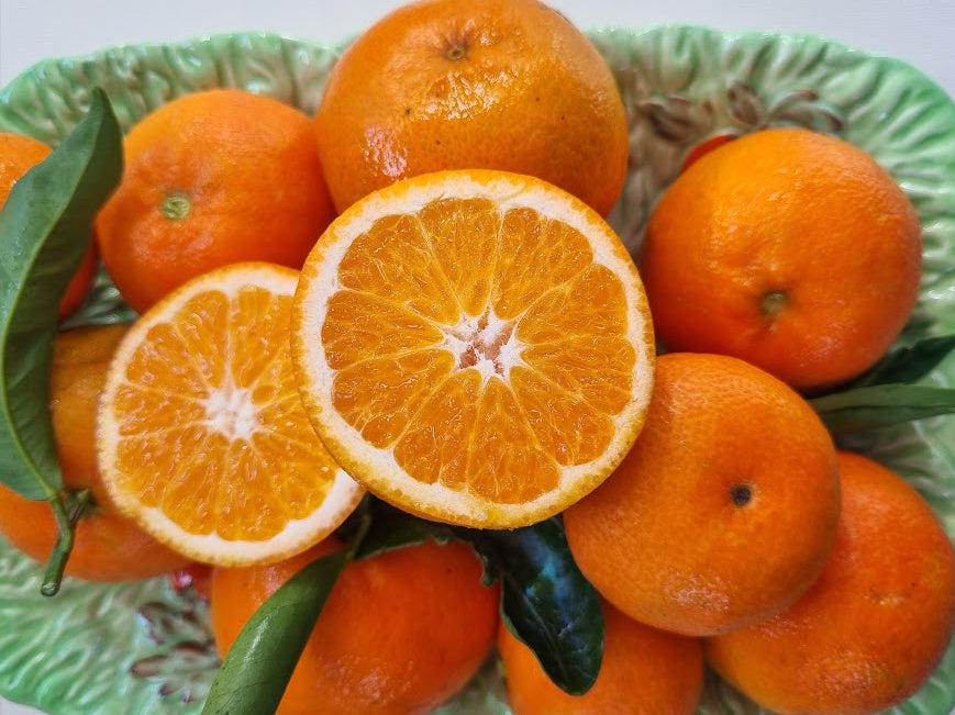 ?!label-Indicative photo