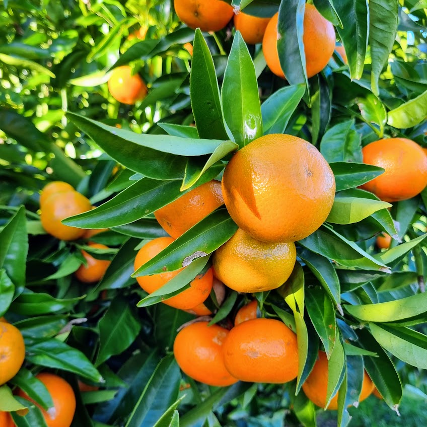 ?!label-Indicative photo