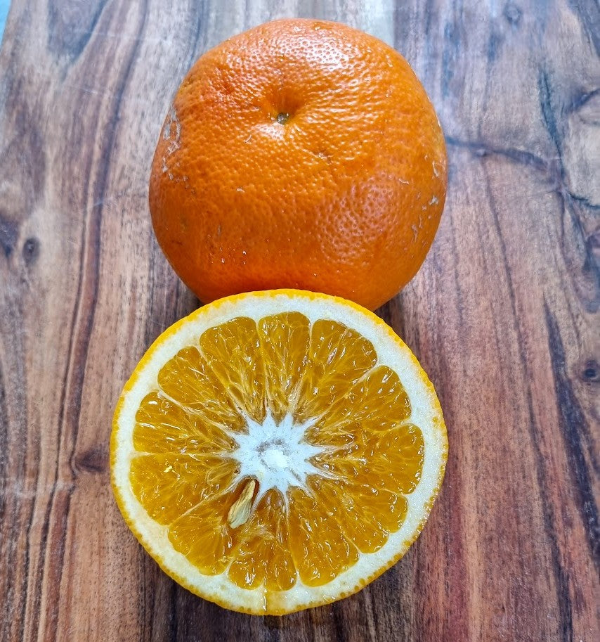 ?!label-Indicative photo