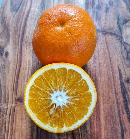 ?!label-Indicative photo