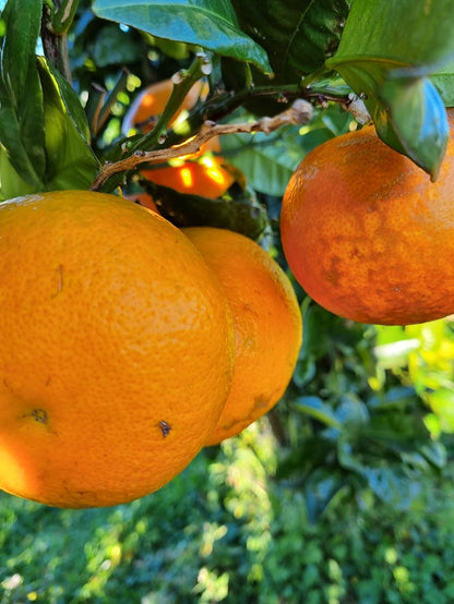 ?!label-Indicative photo