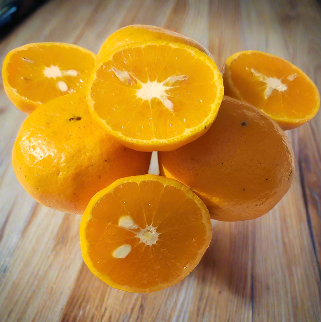 ?!label-Indicative photo