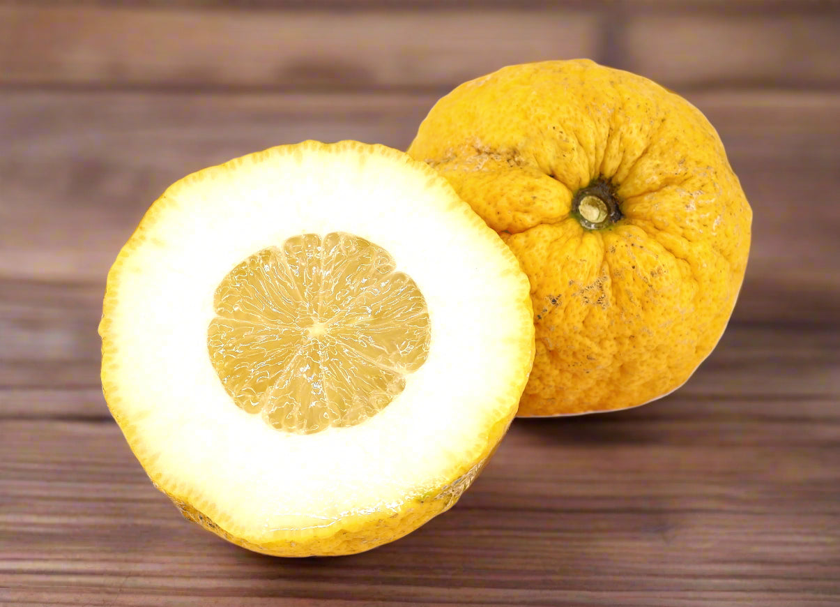 ?!label-Indicative photo