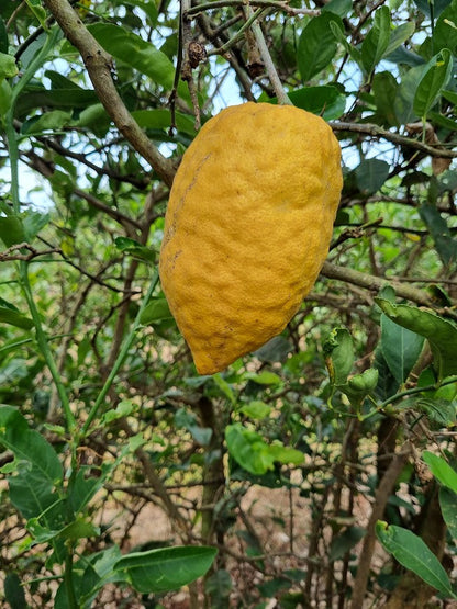 ?!label-Indicative photo