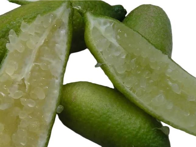 ?!label-Indicative photo