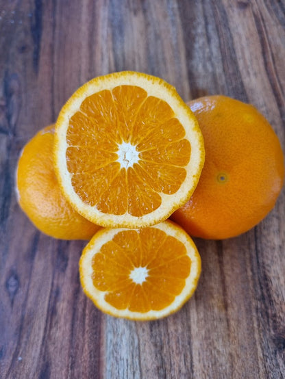 ?!label-Indicative photo