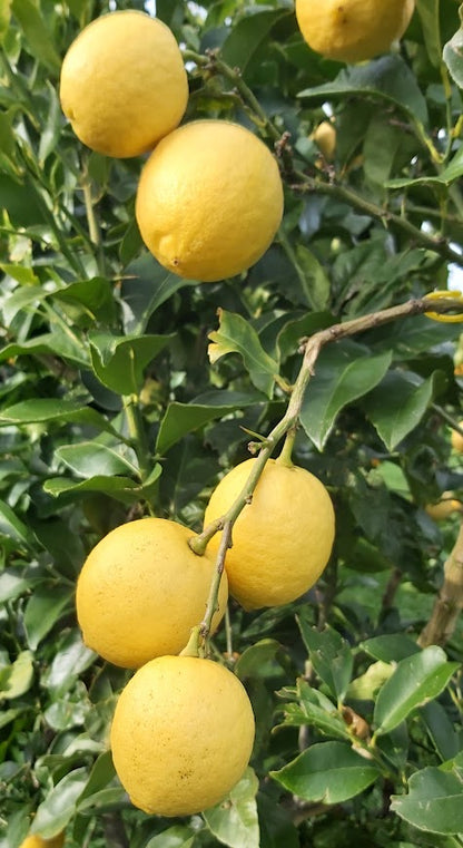 ?!label-Indicative photo