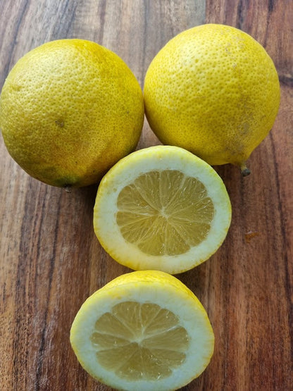 ?!label-Indicative photo