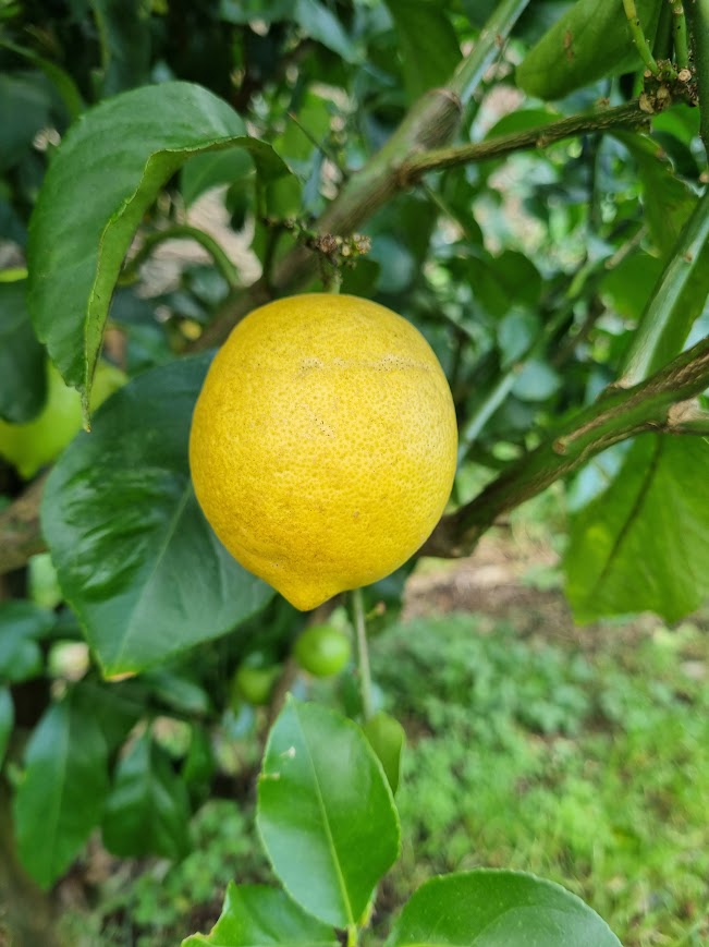 ?!label-Indicative photo