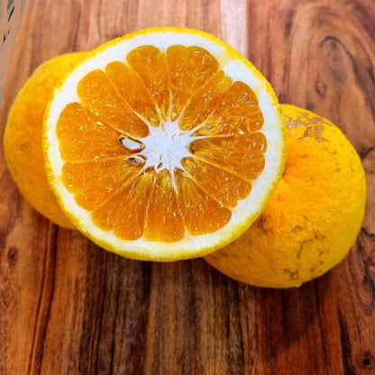 ?!label-Indicative photo