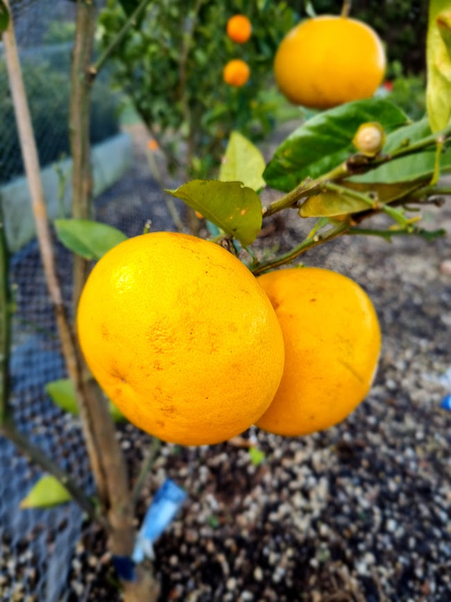 ?!label-Indicative photo