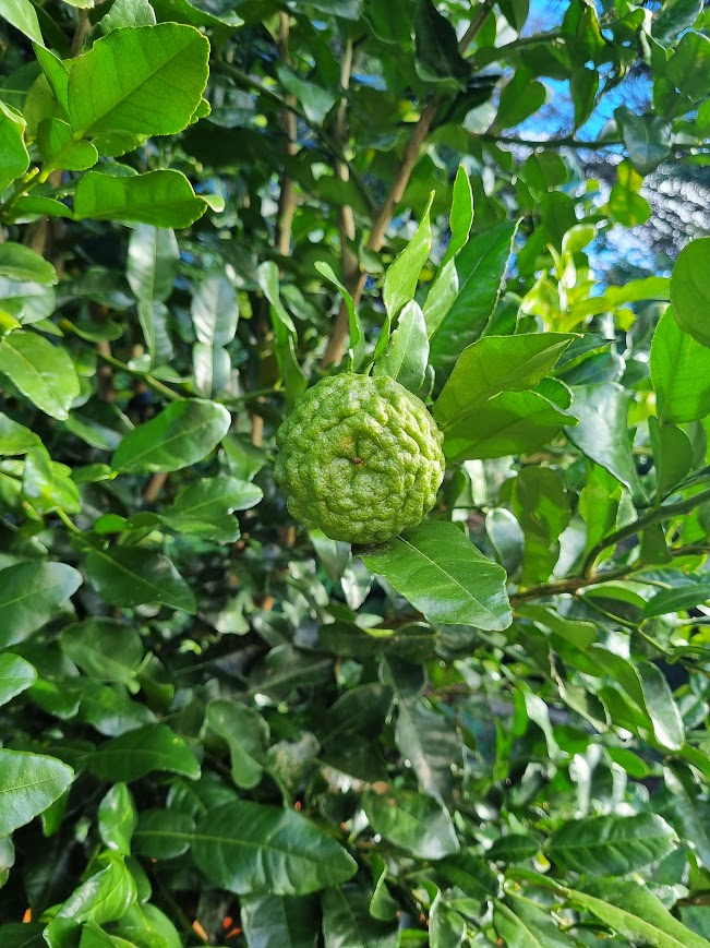 ?!label-Indicative photo