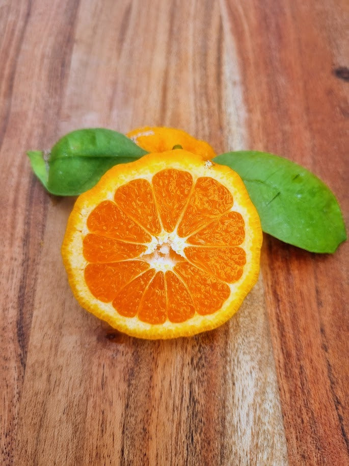 ?!label-Indicative photo