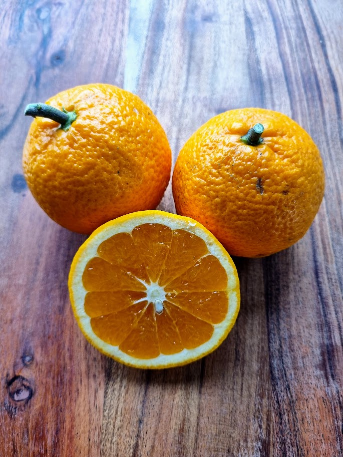 ?!label-Indicative photo