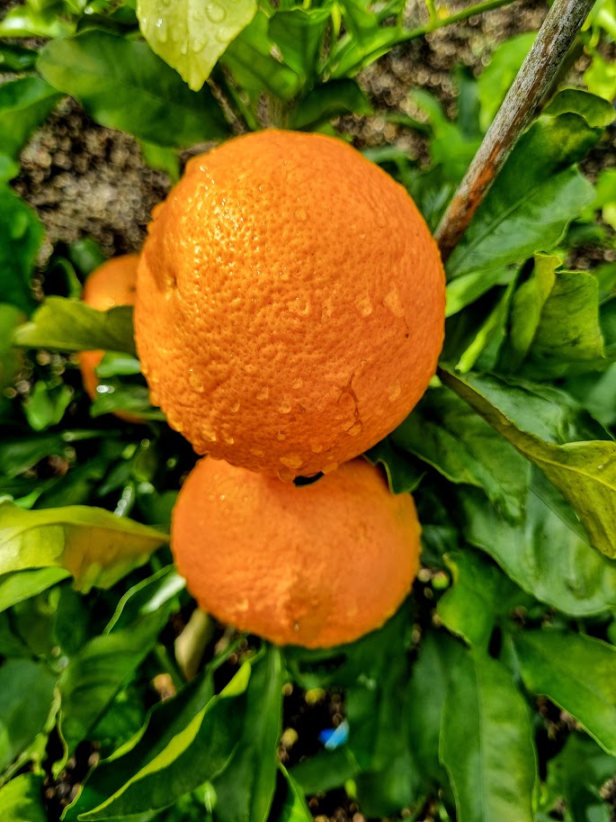 ?!label-Indicative photo