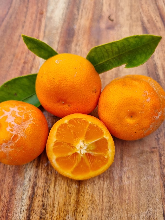 ?!label-Indicative photo