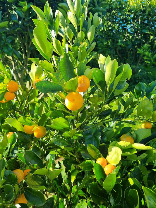 ?!label-Indicative photo