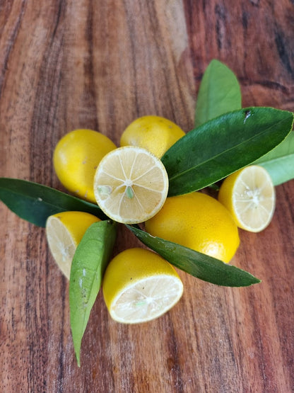 ?!label-Indicative photo