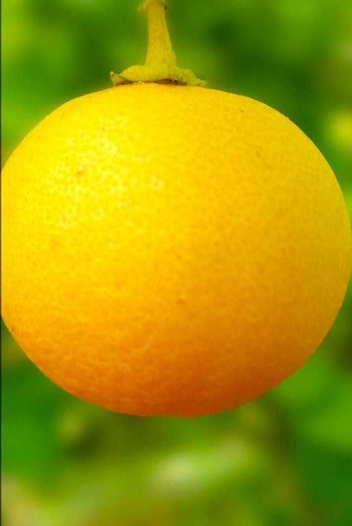 ?!label-Indicative photo