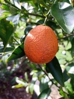 ?!label-Indicative photo