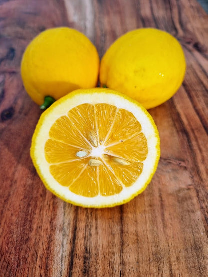 ?!label-Indicative photo