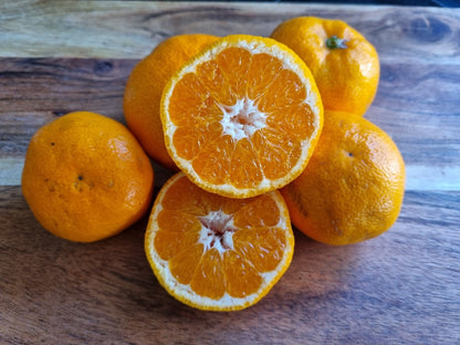 ?!label-Indicative photo