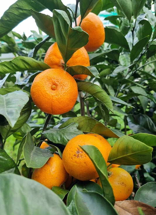 ?!label-Indicative photo