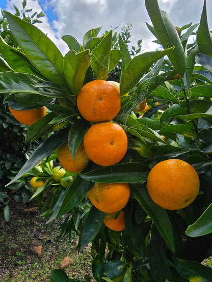 ?!label-Indicative photo