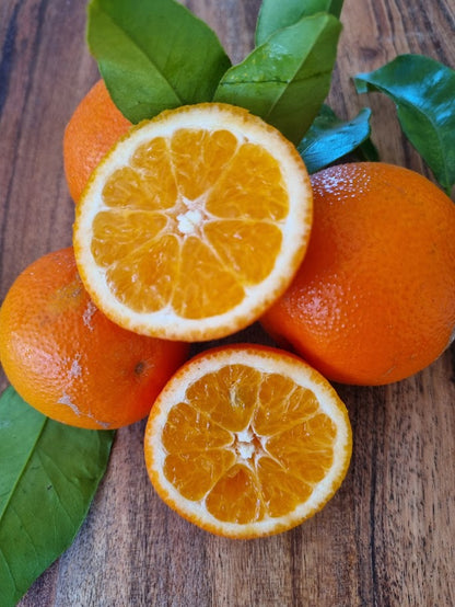 ?!label-Indicative photo