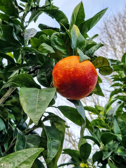 ?!label-Indicative photo